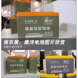 储能电池 电动助力车蓄电池的市场分析与应用前景