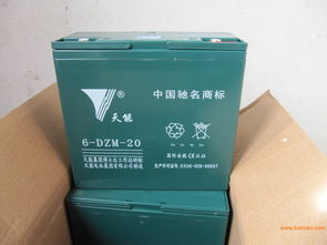 电动助力车蓄电池选购指南 聚焦天能与超威48V20Ah电池